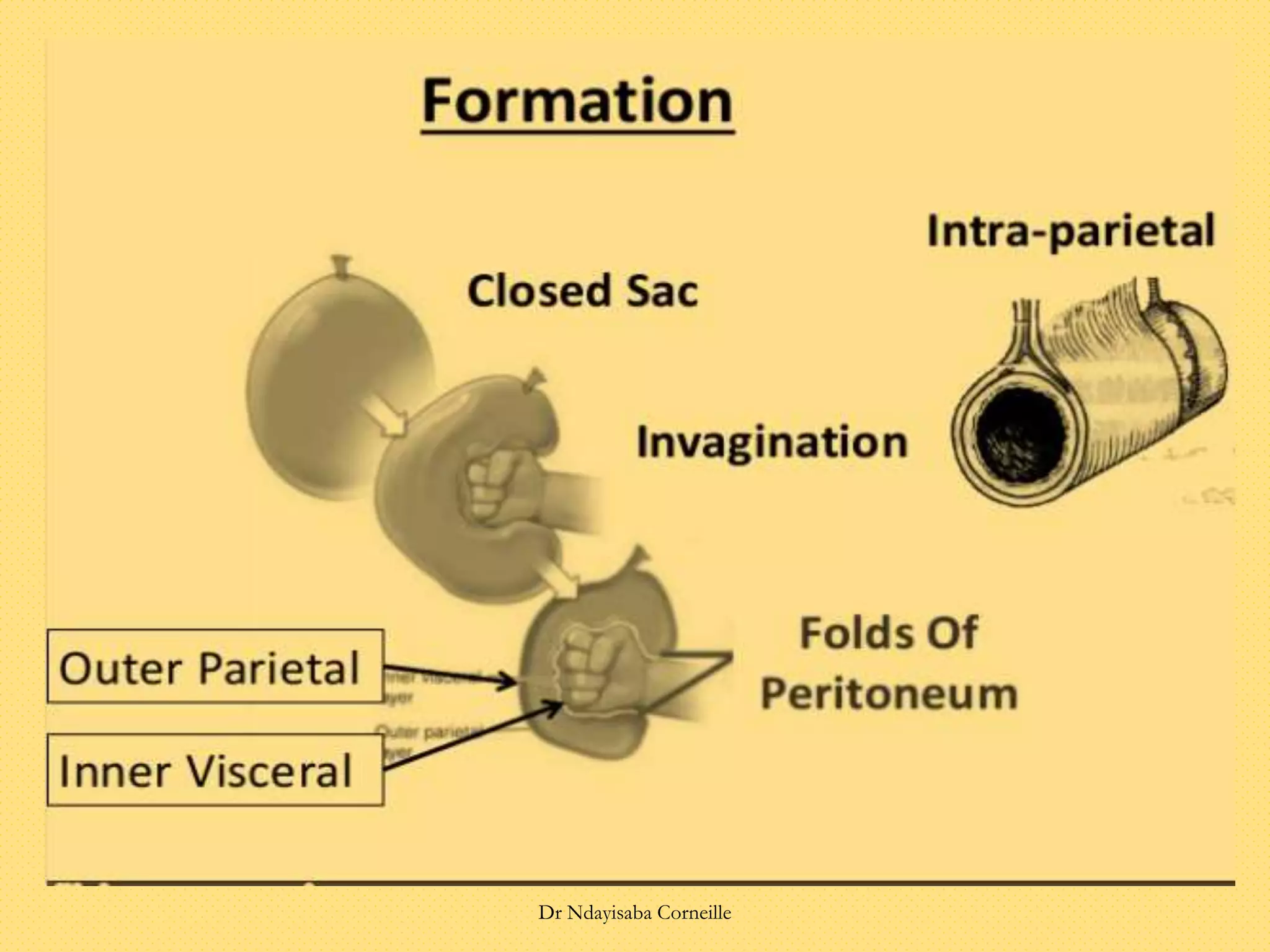 Dr Ndayisaba Corneille
 