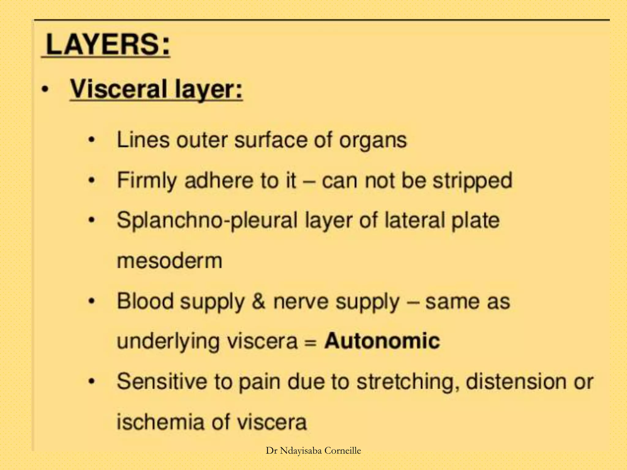 Dr Ndayisaba Corneille
 