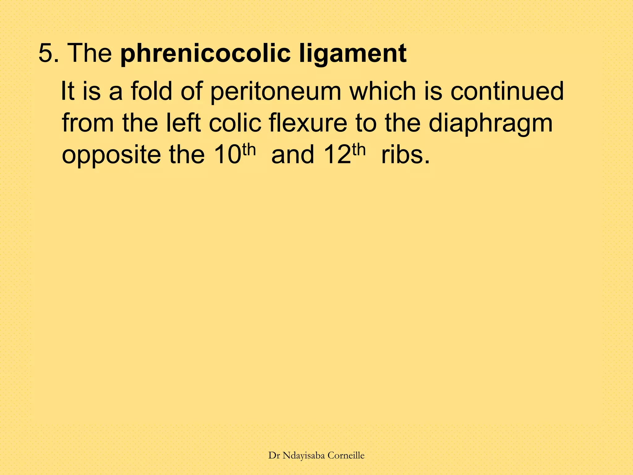 5. The phrenicocolic ligament
It is a fold of peritoneum which is continued
from the left colic flexure to the diaphragm
opposite the 10th and 12th ribs.
Dr Ndayisaba Corneille
 