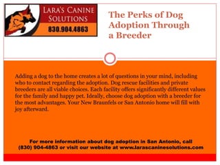 The Perks of Dog
Adoption Through
a Breeder
For more information about dog adoption in San Antonio, call
(830) 904-4863 or visit our website at www.larascaninesolutions.com
Adding a dog to the home creates a lot of questions in your mind, including
who to contact regarding the adoption. Dog rescue facilities and private
breeders are all viable choices. Each facility offers significantly different values
for the family and happy pet. Ideally, choose dog adoption with a breeder for
the most advantages. Your New Braunfels or San Antonio home will fill with
joy afterward.
 