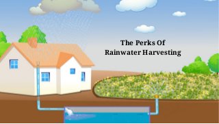 The Perks Of
Rainwater Harvesting
 