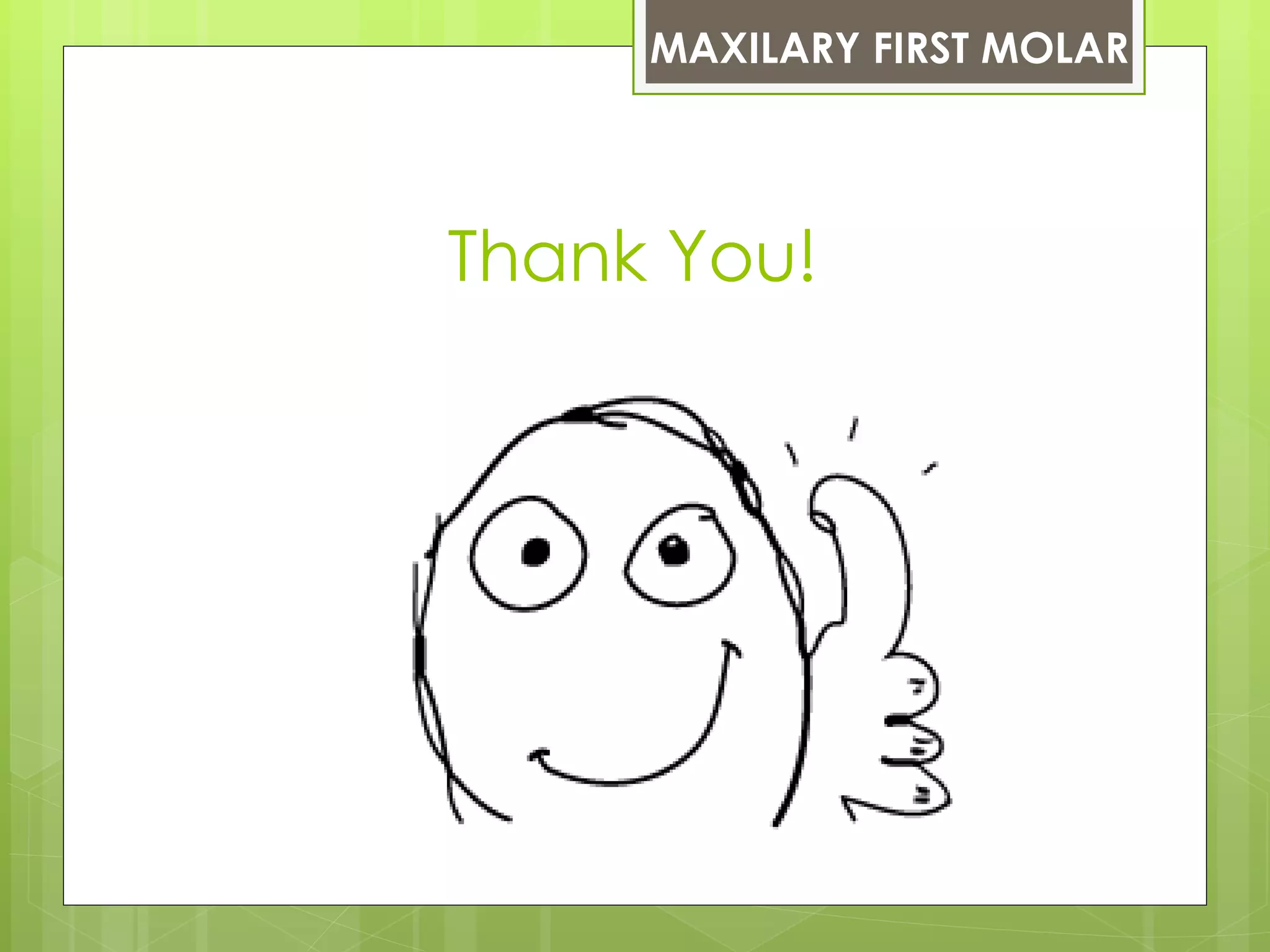 MAXILARY FIRST MOLAR




Thank You!
 
