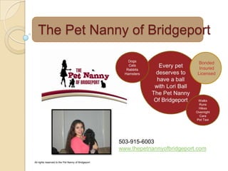 The Pet Nanny of Bridgeport
503-915-6003
www.thepetnannyofbridgeport.com
All rights reserved to the Pet Nanny of Bridgeport
Bonded
Insured
Licensed
 