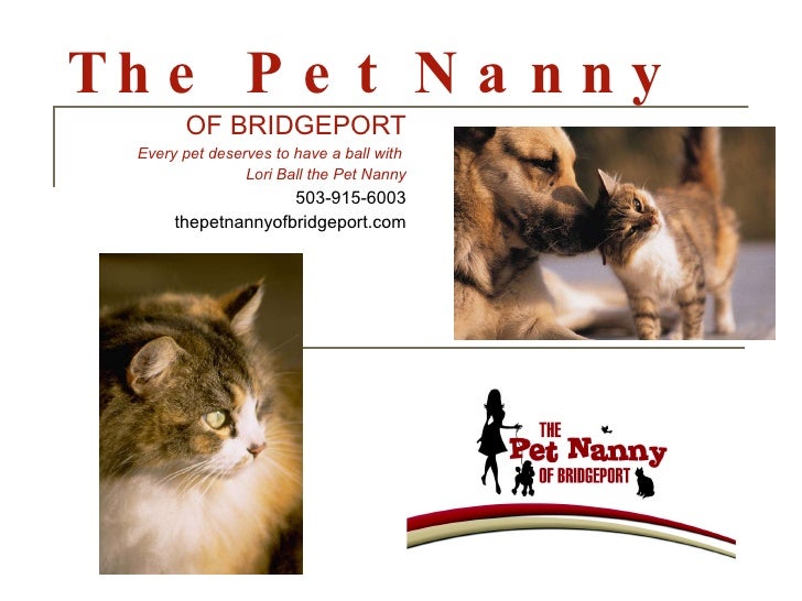 The Pet Nanny Presentation