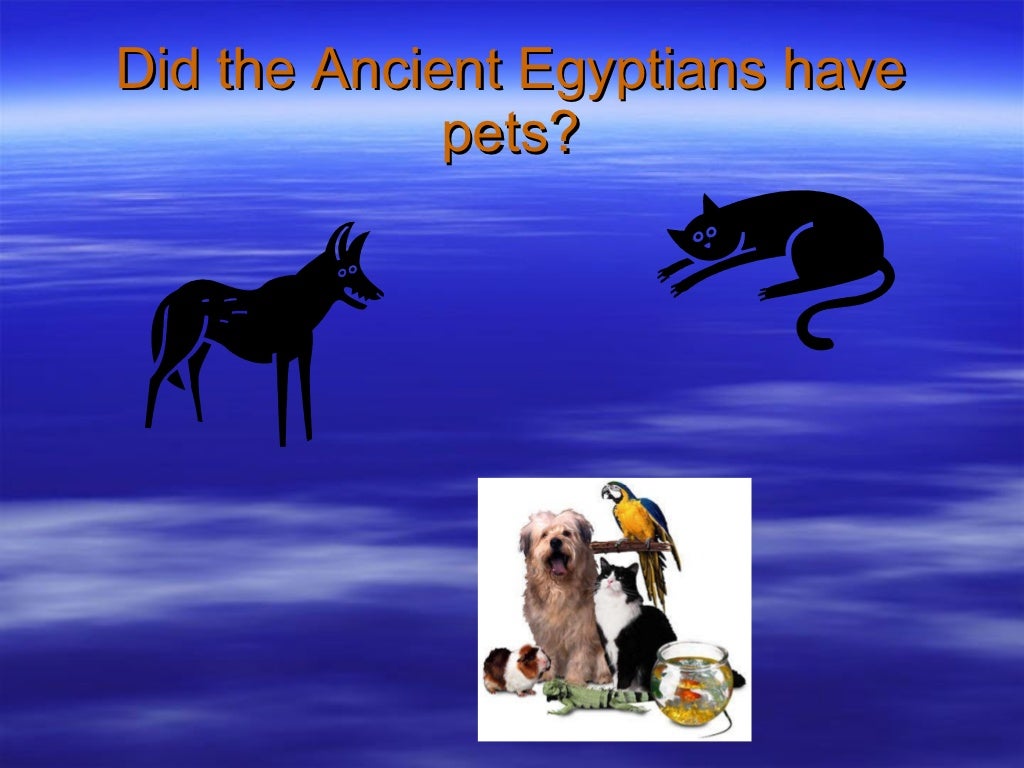 The pets of ancient egypt