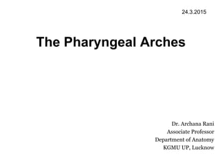 The Pharyngeal Arches
Dr. Archana Rani
Associate Professor
Department of Anatomy
KGMU UP, Lucknow
24.3.2015
 