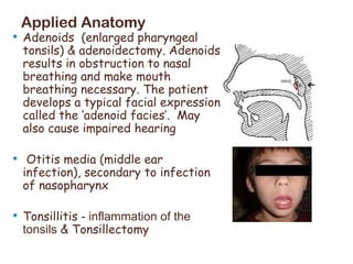 gross anatomy of the neck: The Pharynx.pptx