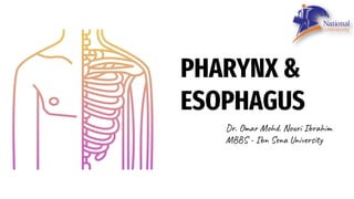 PHARYNX &
ESOPHAGUS
Dr. Omar Mohd. Nouri Ibrahim
MBBS - Ibn Sena University
 