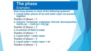 The phase rule | PDF