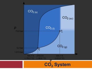 CO2 System
 