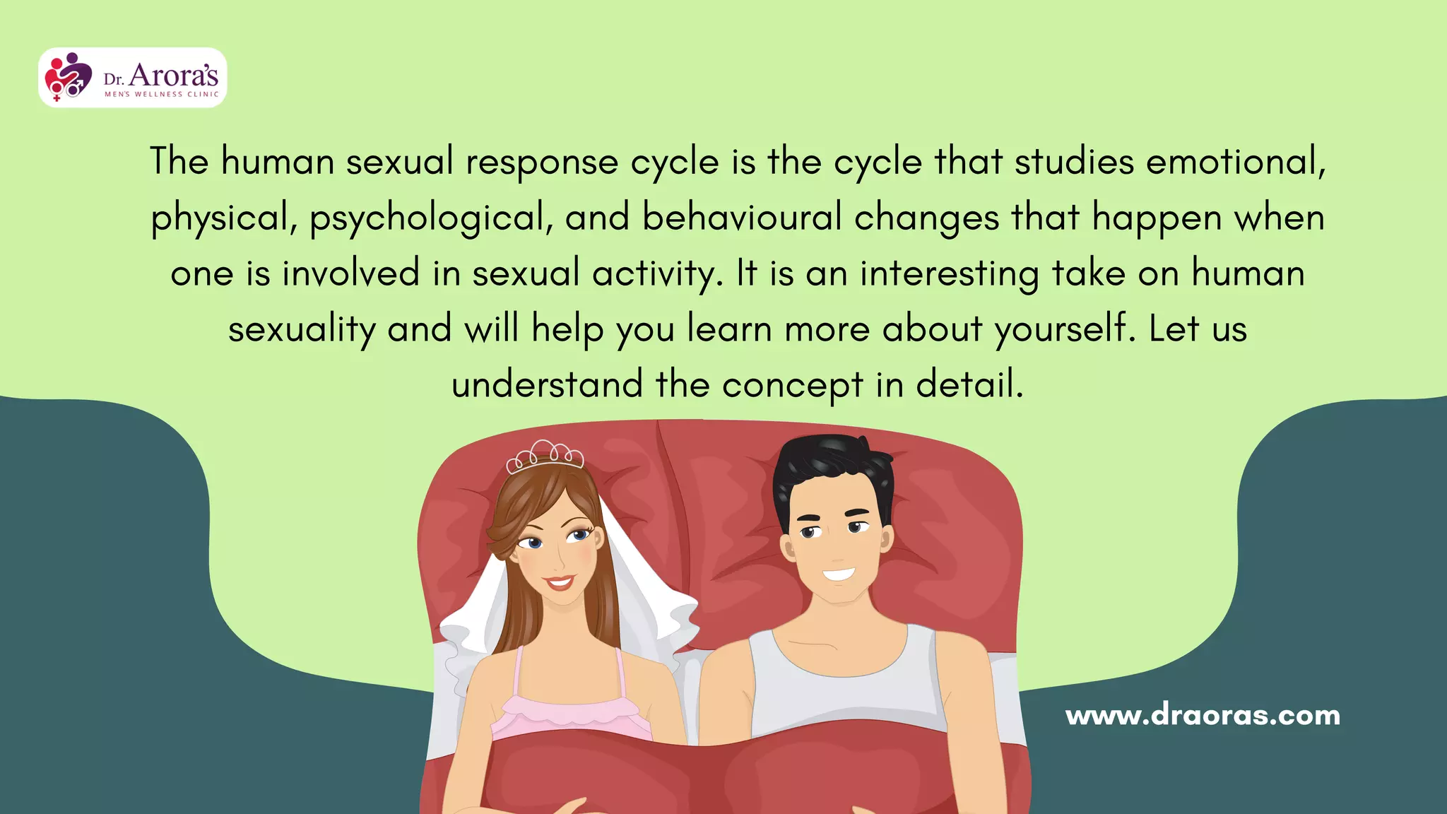 The Phases of Desire Understanding the Human Sexual Response Cycle