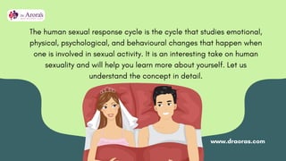 The Phases of Desire Understanding the Human Sexual Response Cycle