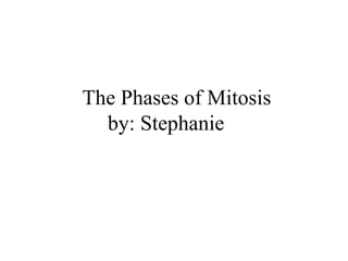 The Phases of Mitosis by: Stephanie  