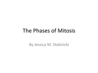 The Phases of Mitosis By Jessica M. Stebnicki 