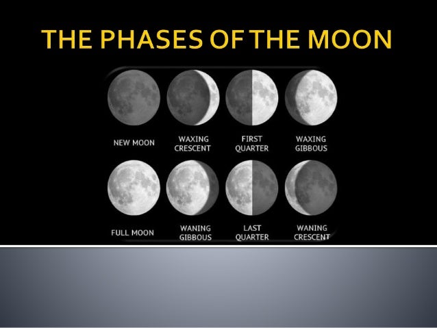 The Phases Of The Moon