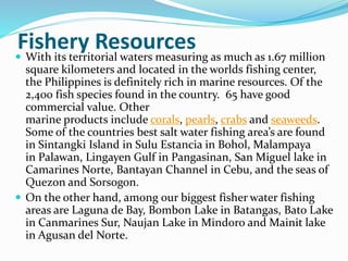Fishery Resources With its territorial waters measuring as much as 1.67 million
square kilometers and located in the worlds fishing center,
the Philippines is definitely rich in marine resources. Of the
2,400 fish species found in the country. 65 have good
commercial value. Other
marine products include corals, pearls, crabs and seaweeds.
Some of the countries best salt water fishing area’s are found
in Sintangki Island in Sulu Estancia in Bohol, Malampaya
in Palawan, Lingayen Gulf in Pangasinan, San Miguel lake in
Camarines Norte, Bantayan Channel in Cebu, and the seas of
Quezon and Sorsogon.
 On the other hand, among our biggest fisher water fishing
areas are Laguna de Bay, Bombon Lake in Batangas, Bato Lake
in Canmarines Sur, Naujan Lake in Mindoro and Mainit lake
in Agusan del Norte.
 