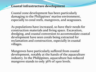 2. Coastal infrastructure development
Coastal zone development has been particularly
damaging to the Philippines’ marine environment,
especially to coral reefs, mangroves, and seagrasses.
As populations have increased, so have their needs for
construction materials and living space. Excavation,
dredging, and coastal conversion to accommodate coastal
development have seen corals being extracted for
reclamation and construction, especially in coastal
villages.
Mangroves have particularly suffered from coastal
development, notably at the hands of the aquaculture
industry. In the Philippines, aquaculture has reduced
mangrove stands to only 36% of 1900 levels.
 
