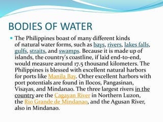 BODIES OF WATER
 The Philippines boast of many different kinds
of natural water forms, such as bays, rivers, lakes falls,
gulfs, straits, and swamps. Because it is made up of
islands, the country's coastline, if laid end-to-end,
would measure around 17.5 thousand kilometers. The
Philippines is blessed with excellent natural harbors
for ports like Manila Bay. Other excellent harbors with
port potentials are found in Ilocos, Pangasinan,
Visayas, and Mindanao. The three largest rivers in the
country are the Cagayan River in Northern Luzon,
the Rio Grande de Mindanao, and the Agusan River,
also in Mindanao.
 