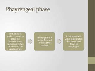 Oral Physiology - THE PHISIOLOGY OF SWALLOWING | PPTX