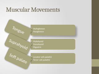 Oral Physiology - THE PHISIOLOGY OF SWALLOWING | PPTX