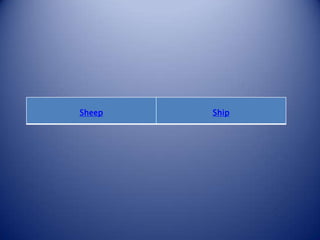 Sheep   Ship
 