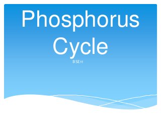 Phosphorus
CycleBSE11
 