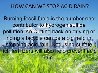 HOW CAN WE STOP ACID RAIN?
Burning fossil fuels is the number one
contributor to hydrogen sulfide
pollution, so Cutting back on driving or
riding a bicycle can be a big help in
stopping acid rain. Not using sulfate
rich fertilizers will also help prevent acid
rain.

 
