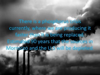There is a phosphorus crisis
currently, where we are producing it
faster than it is being replaced.
Estimated 90 years that the sources in
Morrocco and the U.S will be depleted.

 