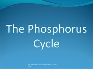 The Phosphorus
Cycle
By: Jermaine Loutin (Jose Marti Six Form
Envi.)

 