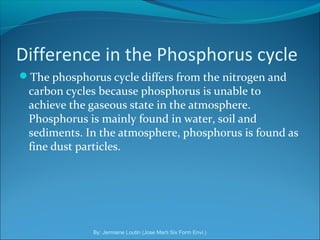 The phosphorus cycle | PPT