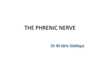 THE PHRENIC NERVE
Dr M Idris Siddiqui
 