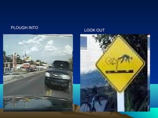 PLOUGH INTO
              LOOK OUT
 