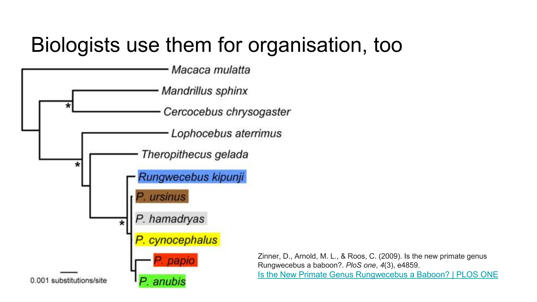 Biologists use them for organisation, too
Zinner, D., Arnold, M. L., & Roos, C. (2009). Is the new primate genus
Rungwecebus a baboon?. PloS one, 4(3), e4859.
Is the New Primate Genus Rungwecebus a Baboon? | PLOS ONE
 