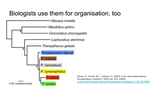 Biologists use them for organisation, too
Zinner, D., Arnold, M. L., & Roos, C. (2009). Is the new primate genus
Rungwecebus a baboon?. PloS one, 4(3), e4859.
Is the New Primate Genus Rungwecebus a Baboon? | PLOS ONE
 