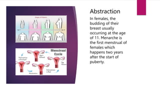 In females, the
budding of their
breast usually
occurring at the age
of 11. Menarche is
the first menstrual of
females which
happens two years
after the start of
puberty.
Abstraction
 