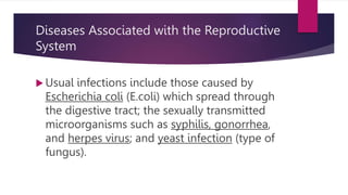 Diseases Associated with the Reproductive
System
 Usual infections include those caused by
Escherichia coli (E.coli) which spread through
the digestive tract; the sexually transmitted
microorganisms such as syphilis, gonorrhea,
and herpes virus; and yeast infection (type of
fungus).
 