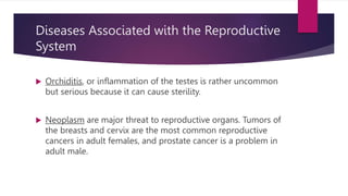 Diseases Associated with the Reproductive
System
 Orchiditis, or inflammation of the testes is rather uncommon
but serious because it can cause sterility.
 Neoplasm are major threat to reproductive organs. Tumors of
the breasts and cervix are the most common reproductive
cancers in adult females, and prostate cancer is a problem in
adult male.
 