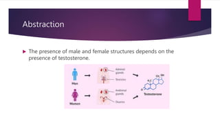Abstraction
 The presence of male and female structures depends on the
presence of testosterone.
 