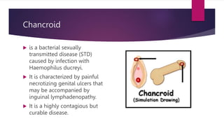 Chancroid
 is a bacterial sexually
transmitted disease (STD)
caused by infection with
Haemophilus ducreyi.
 It is characterized by painful
necrotizing genital ulcers that
may be accompanied by
inguinal lymphadenopathy.
 It is a highly contagious but
curable disease.
 