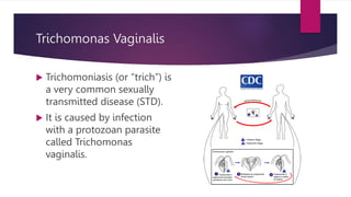 Trichomonas Vaginalis
 Trichomoniasis (or “trich”) is
a very common sexually
transmitted disease (STD).
 It is caused by infection
with a protozoan parasite
called Trichomonas
vaginalis.
 