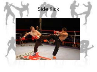 Side Kick<br />