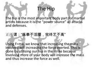 The Hip<br />The hip is the most important body part for martial artists because it is the “power source” all attacks and ...