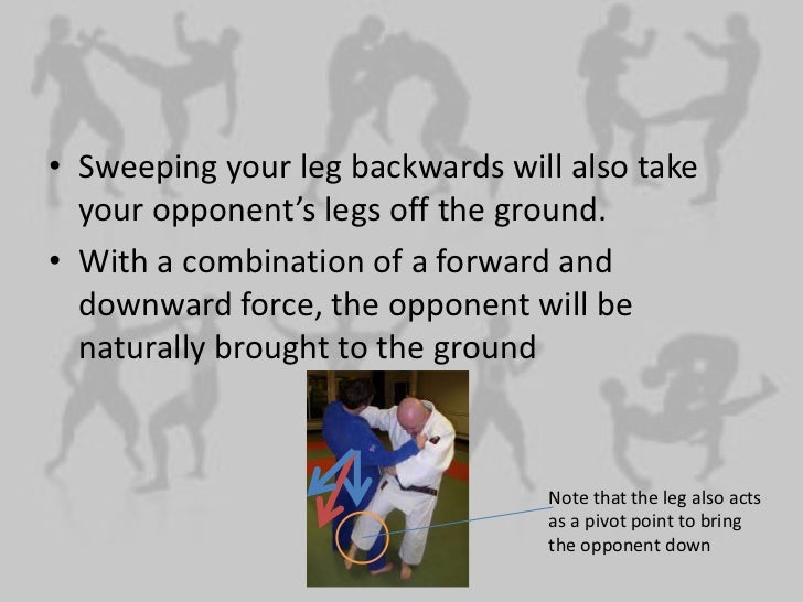 The physics behind martial arts