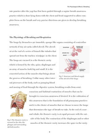 The physiological benefits of pranayama | PDF