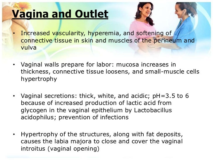 Acidophilus and pregnancy