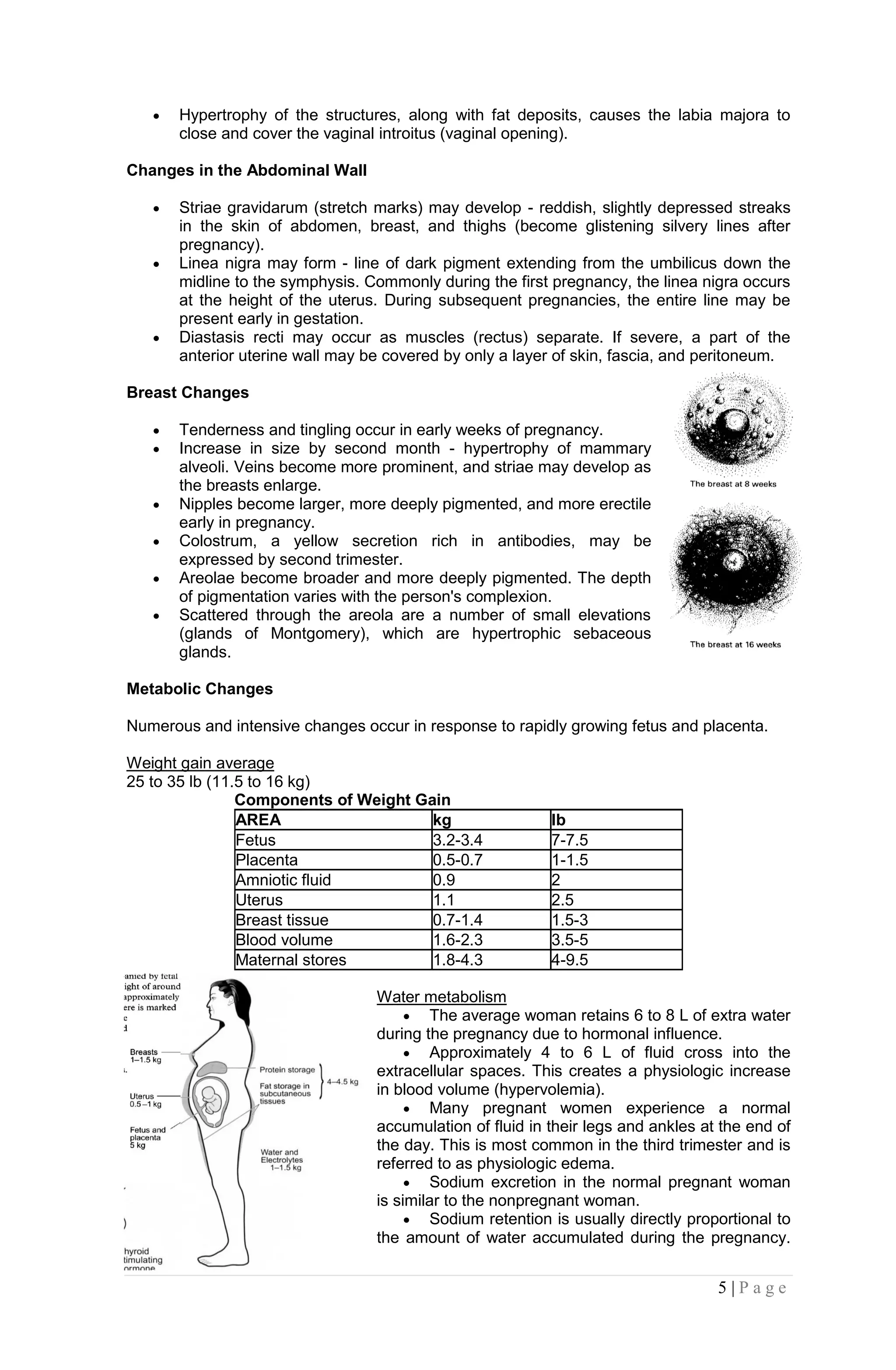 The physiological changes of pregnancy promoting maternal health | PDF