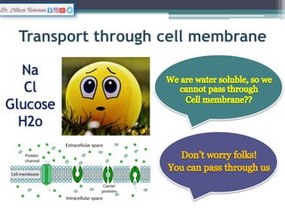 Membrane Proteins
 