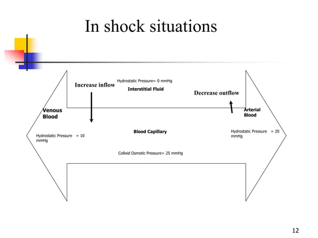 The Physiology of Shock.ppt | Heart and Cardiovascular Diseases ...
