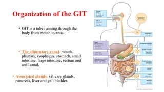 The Physiology of the Gastrointestinal Tract (GIT (complete).pptx