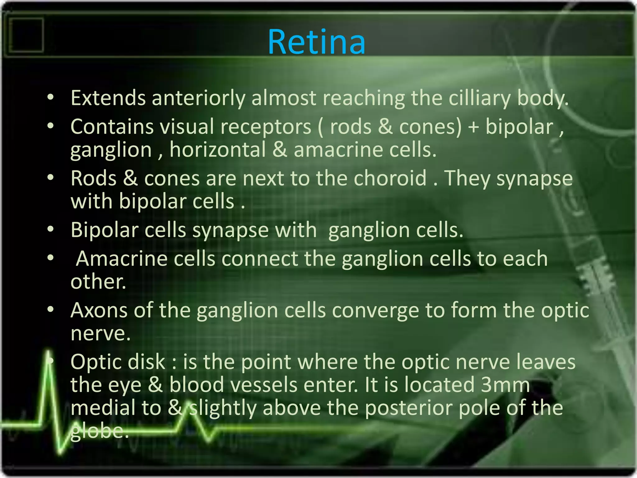 Retina
• Extends anteriorly almost reaching the cilliary body.
• Contains visual receptors ( rods & cones) + bipolar ,
ganglion , horizontal & amacrine cells.
• Rods & cones are next to the choroid . They synapse
with bipolar cells .
• Bipolar cells synapse with ganglion cells.
• Amacrine cells connect the ganglion cells to each
other.
• Axons of the ganglion cells converge to form the optic
nerve.
• Optic disk : is the point where the optic nerve leaves
the eye & blood vessels enter. It is located 3mm
medial to & slightly above the posterior pole of the
globe.
 